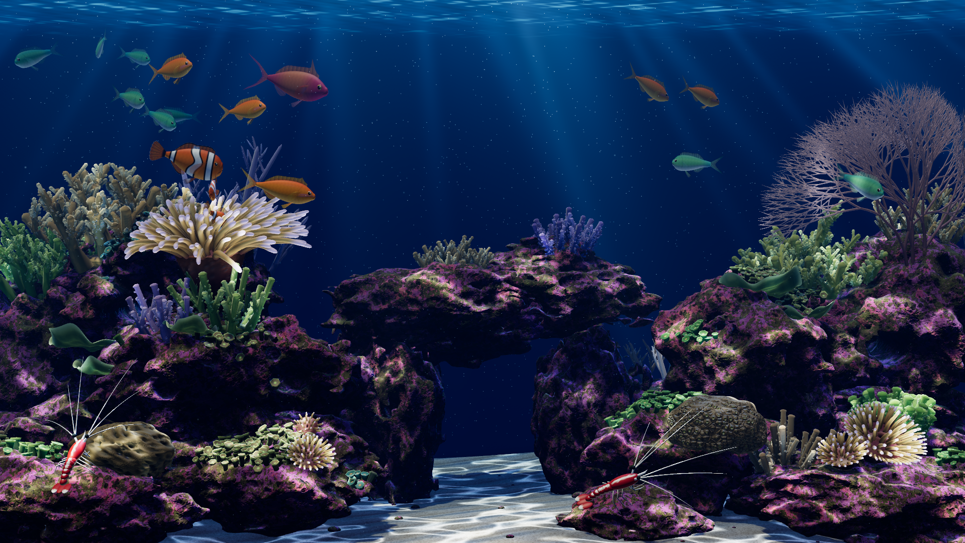 A coral reef with clownfish, anemones and branching corals