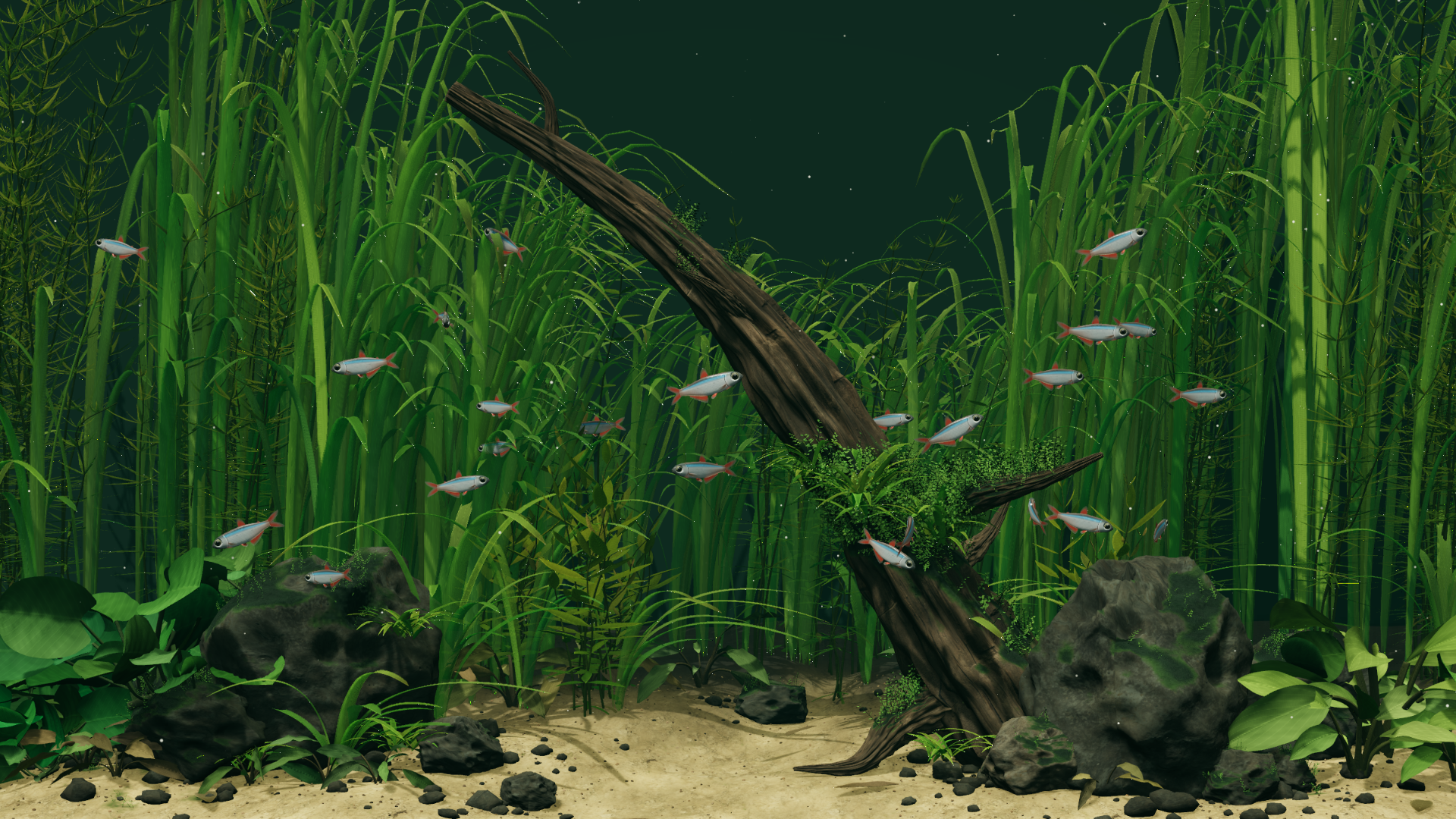 Fish swimming through green rivergrass and driftwood